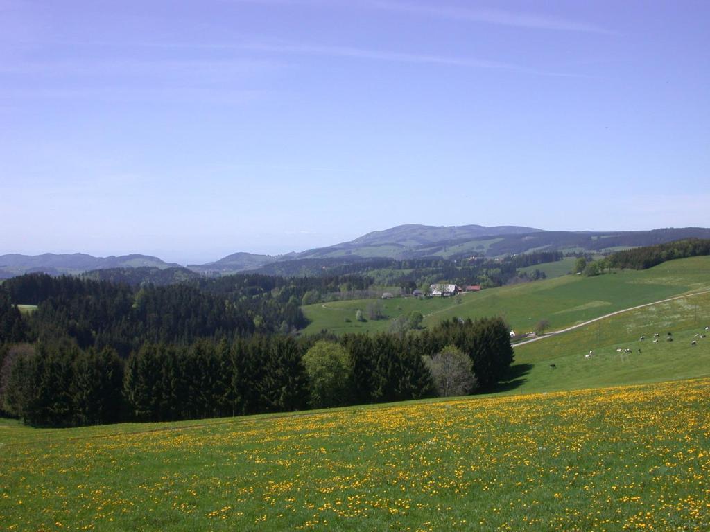 Bio- Und Wellnesshotel Alpenblick Hoechenschwand Exterior photo